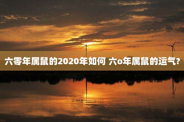 六零年属鼠的2020年如何 六o年属鼠的运气?
