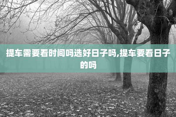 提车需要看时间吗选好日子吗,提车要看日子的吗