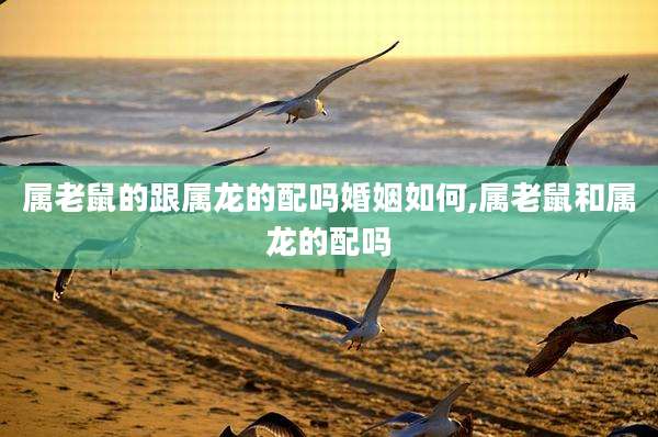 属老鼠的跟属龙的配吗婚姻如何,属老鼠和属龙的配吗