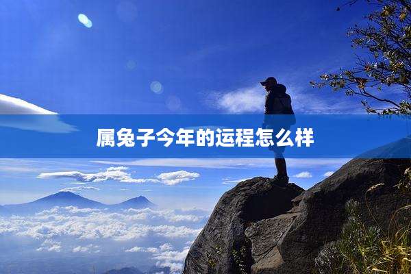 属兔子今年的运程怎么样