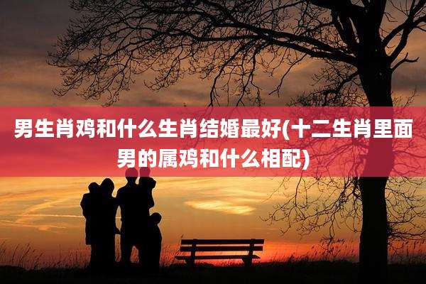 男生肖鸡和什么生肖结婚最好(十二生肖里面男的属鸡和什么相配)