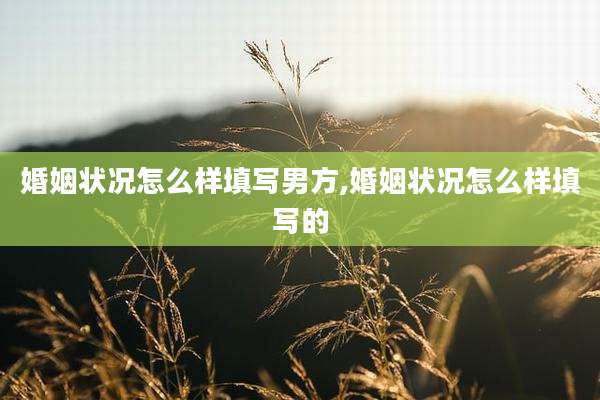 婚姻状况怎么样填写男方,婚姻状况怎么样填写的