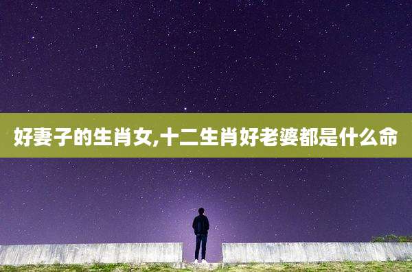 好妻子的生肖女,十二生肖好老婆都是什么命