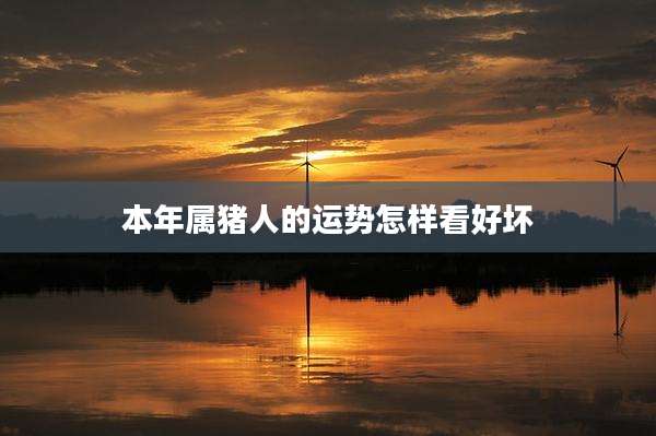 本年属猪人的运势怎样看好坏
