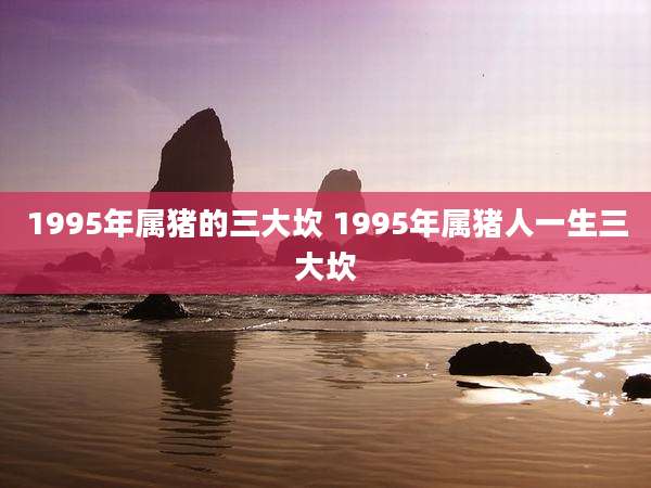 1995年属猪的三大坎 1995年属猪人一生三大坎
