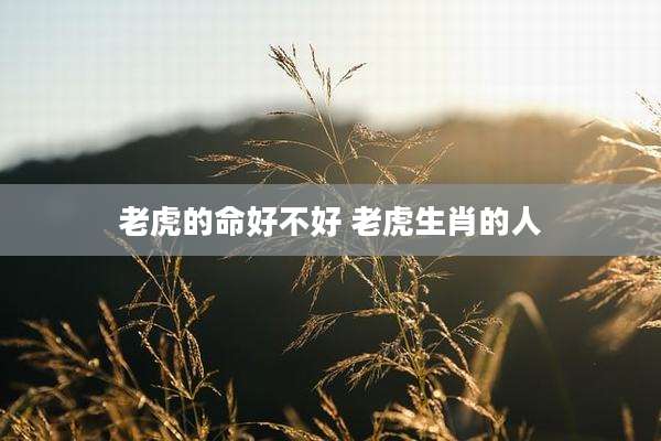 老虎的命好不好 老虎生肖的人