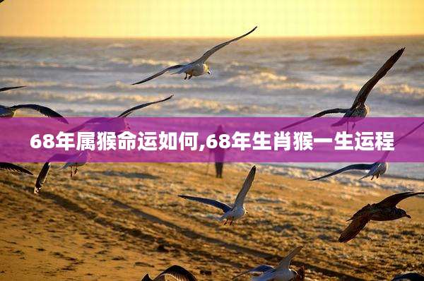 68年属猴命运如何,68年生肖猴一生运程