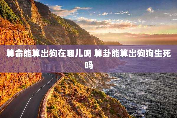 算命能算出狗在哪儿吗 算卦能算出狗狗生死吗