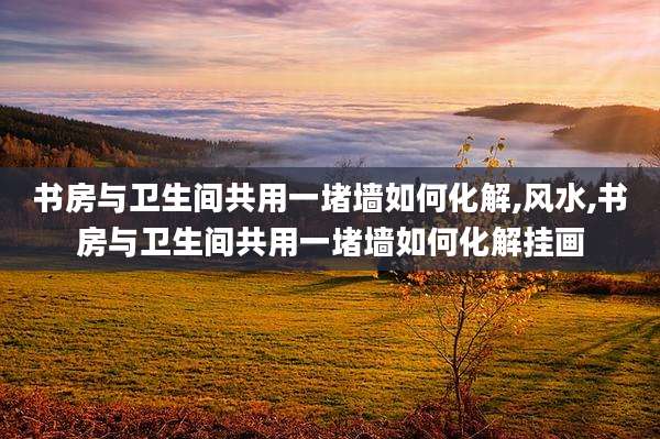 书房与卫生间共用一堵墙如何化解,风水,书房与卫生间共用一堵墙如何化解挂画