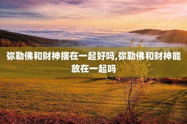 弥勒佛和财神摆在一起好吗,弥勒佛和财神能放在一起吗