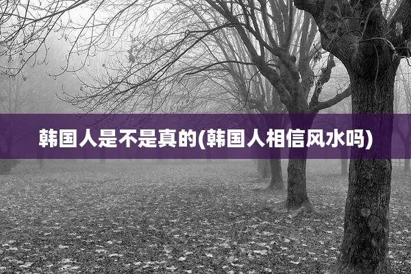 韩国人是不是真的(韩国人相信风水吗)