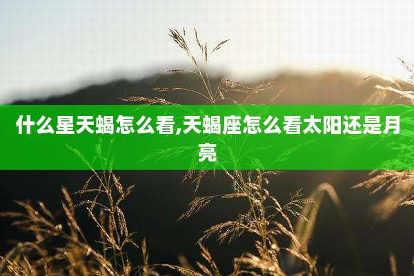 什么星天蝎怎么看,天蝎座怎么看太阳还是月亮