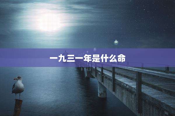 一九三一年是什么命