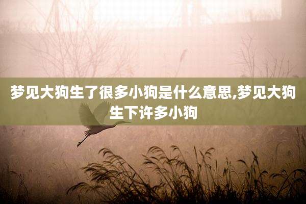 梦见大狗生了很多小狗是什么意思,梦见大狗生下许多小狗