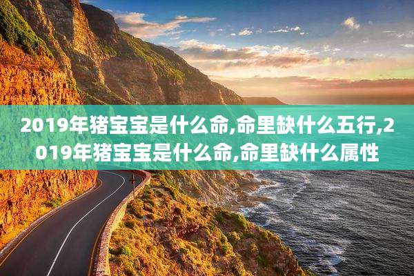2019年猪宝宝是什么命,命里缺什么五行,2019年猪宝宝是什么命,命里缺什么属性