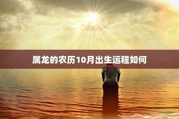 属龙的农历10月出生运程如何