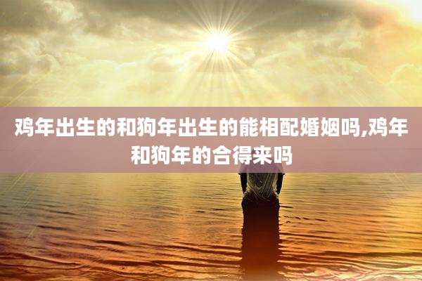 鸡年出生的和狗年出生的能相配婚姻吗,鸡年和狗年的合得来吗