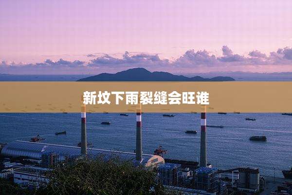 新坟下雨裂缝会旺谁