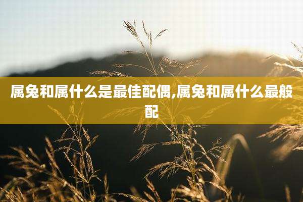 属兔和属什么是最佳配偶,属兔和属什么最般配