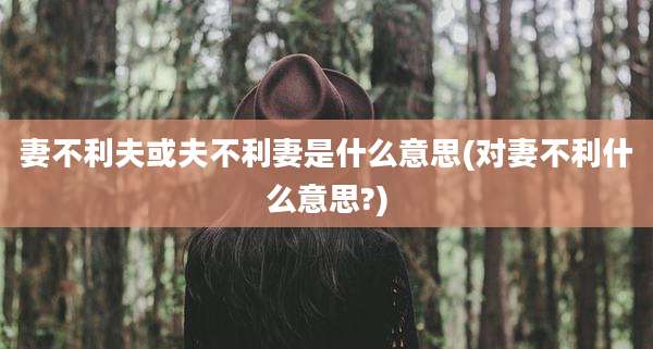 妻不利夫或夫不利妻是什么意思(对妻不利什么意思?)