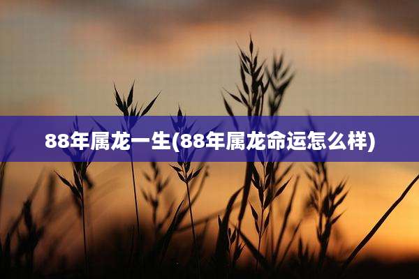 88年属龙一生(88年属龙命运怎么样)