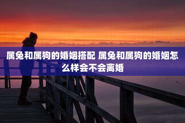 属兔和属狗的婚姻搭配 属兔和属狗的婚姻怎么样会不会离婚
