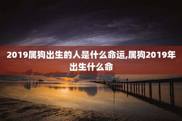 2019属狗出生的人是什么命运,属狗2019年出生什么命