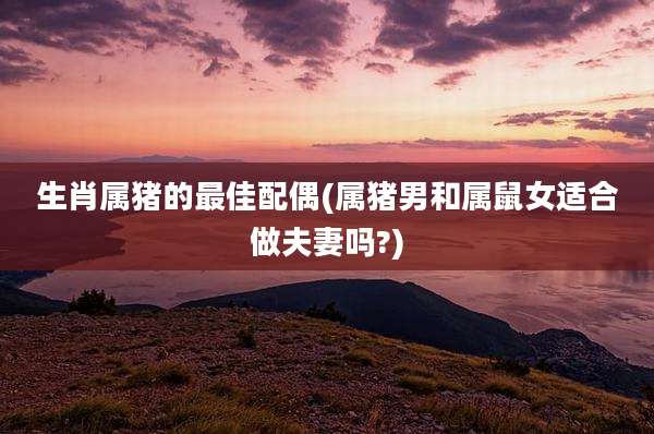 生肖属猪的最佳配偶(属猪男和属鼠女适合做夫妻吗?)
