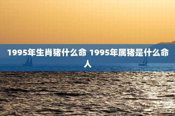 1995年生肖猪什么命 1995年属猪是什么命人