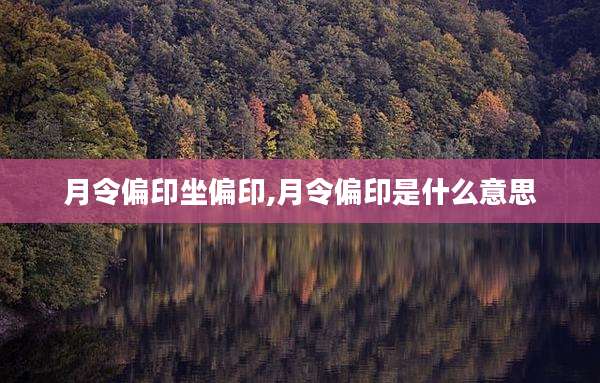 月令偏印坐偏印,月令偏印是什么意思