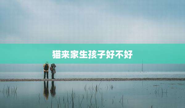 猫来家生孩子好不好
