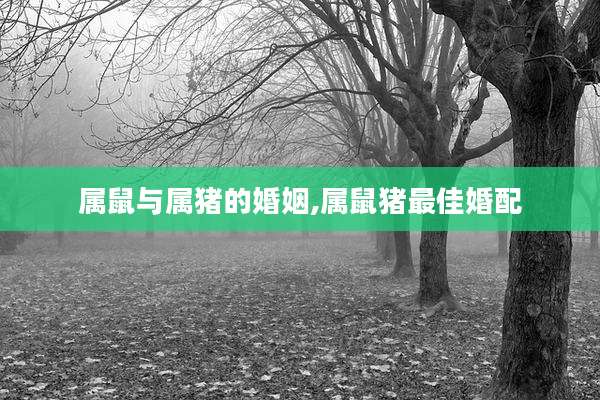 属鼠与属猪的婚姻,属鼠猪最佳婚配