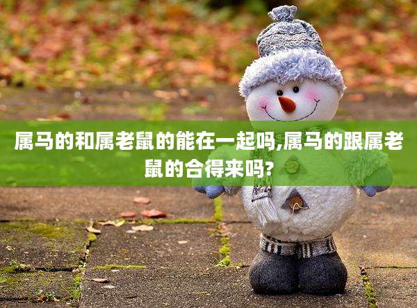 属马的和属老鼠的能在一起吗,属马的跟属老鼠的合得来吗?