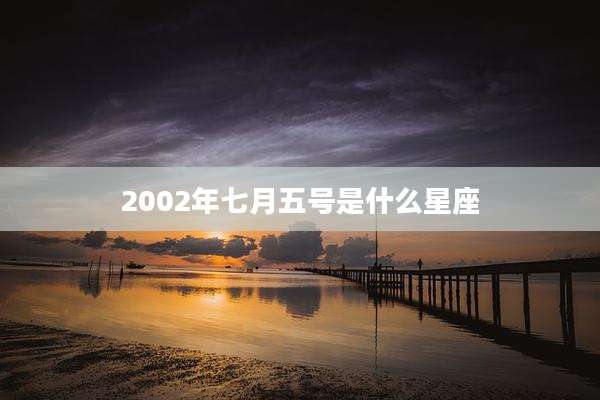 2002年七月五号是什么星座