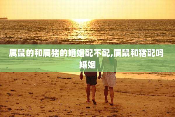 属鼠的和属猪的婚姻配不配,属鼠和猪配吗 婚姻