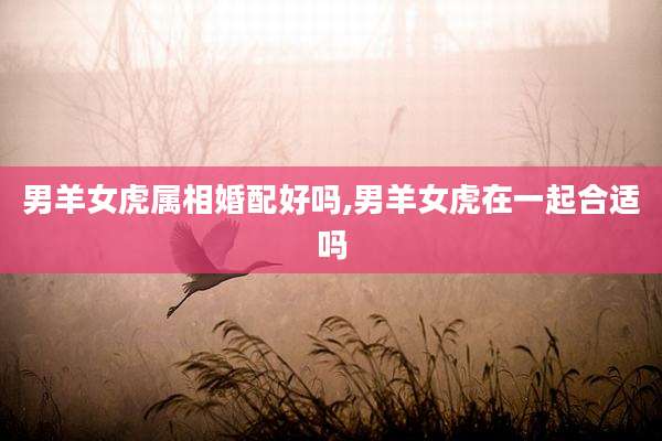 男羊女虎属相婚配好吗,男羊女虎在一起合适吗