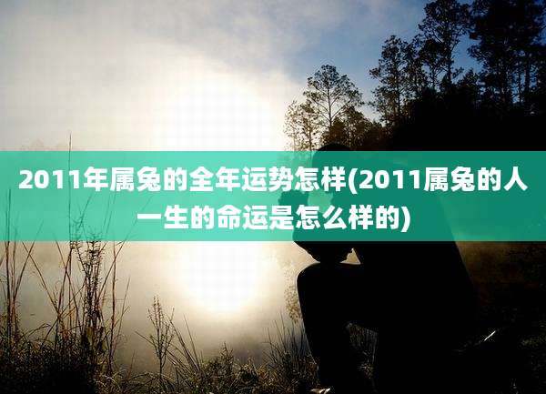 2011年属兔的全年运势怎样(2011属兔的人一生的命运是怎么样的)