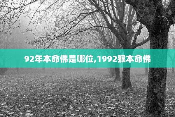 92年本命佛是哪位,1992猴本命佛