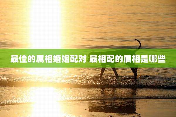 最佳的属相婚姻配对 最相配的属相是哪些