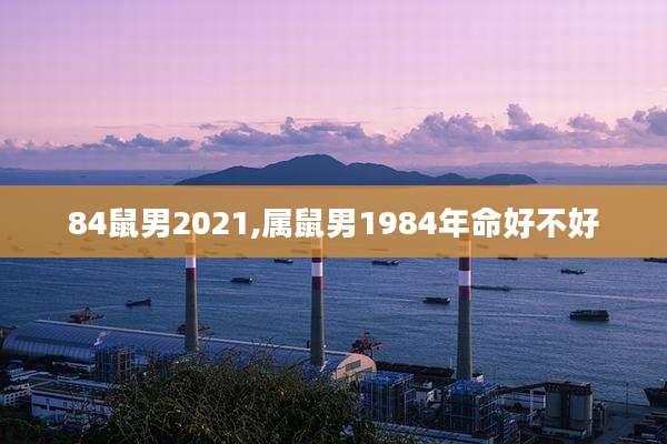 84鼠男2021,属鼠男1984年命好不好
