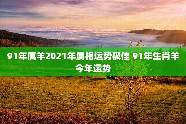 91年属羊2021年属相运势极佳 91年生肖羊今年运势