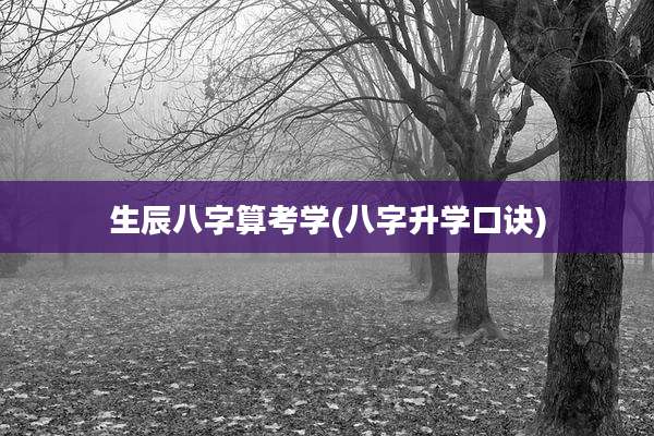 生辰八字算考学(八字升学口诀)