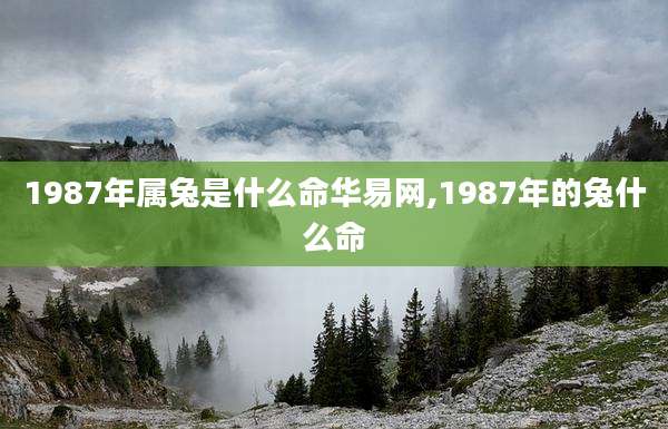 1987年属兔是什么命华易网,1987年的兔什么命