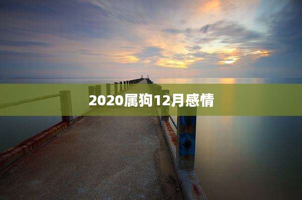 2020属狗12月感情