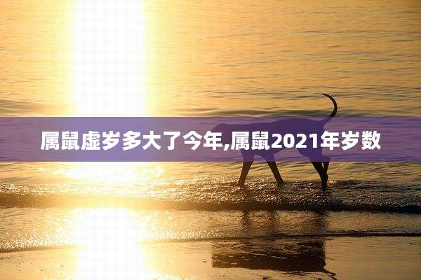属鼠虚岁多大了今年,属鼠2021年岁数