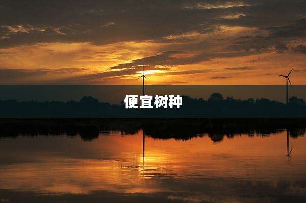 便宜树种