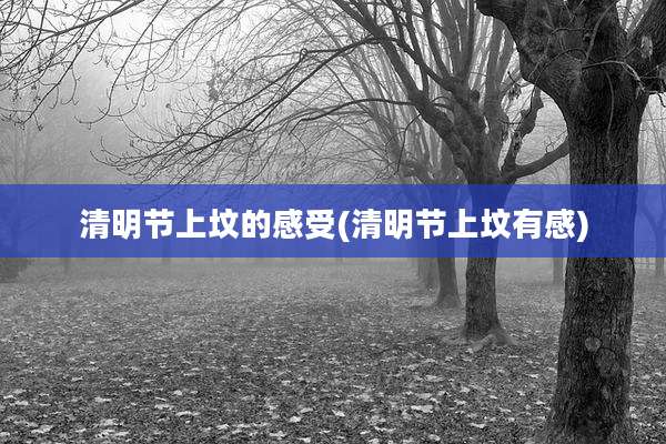 清明节上坟的感受(清明节上坟有感)
