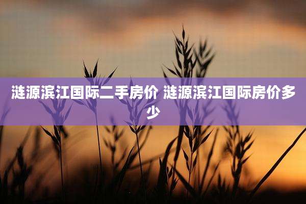 涟源滨江国际二手房价 涟源滨江国际房价多少