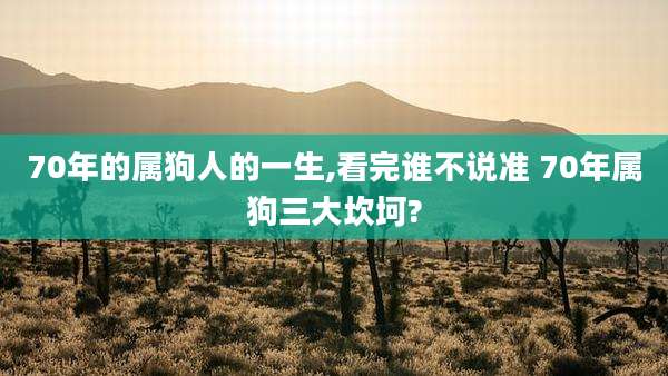 70年的属狗人的一生,看完谁不说准 70年属狗三大坎坷?