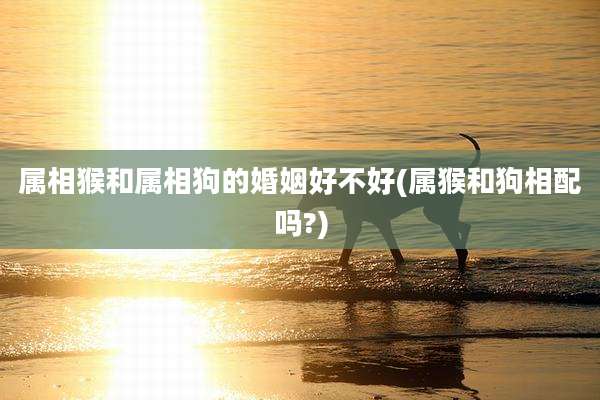 属相猴和属相狗的婚姻好不好(属猴和狗相配吗?)